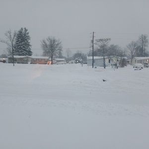 Meet your Posher, Jeffrey